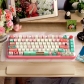 Spirited Away 104+34 / 54 Cherry Profile Keycap Set Cherry MX PBT Dye-subbed for Mechanical Gaming Keyboard